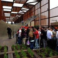 Foto Nicoloro G.   05/05/2015    Milano   Expo Milano 2015 si apre al mondo e si mette in mostra. nella foto ragazzi in coda per poter salire e saltare sulla grande rete nel padiglione del Brasile.