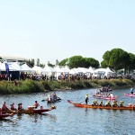 Foto Nicoloro G.   03/09/2024   Ravenna   14esima edizione del Campionato mondiale di Dragon Boat. E\' una competizione di origini cinersi che vede la partecipazione di 172 squadre provenienti da 32 nazioni con oltre settemila atleti per quasi 500 gare. il programma prevede gare di 200 mt., 500 mt. e 2 km. su imbarcazioni di lunghezza variabile da 8 a oltre 18 metri. nella foto le imbarcazioni in attesa di gareggiare.