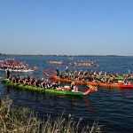 Foto Nicoloro G.   03/09/2024   Ravenna   14esima edizione del Campionato mondiale di Dragon Boat. E\' una competizione di origini cinersi che vede la partecipazione di 172 squadre provenienti da 32 nazioni con oltre settemila atleti per quasi 500 gare. il programma prevede gare di 200 mt., 500 mt. e 2 km. su imbarcazioni di lunghezza variabile da 8 a oltre 18 metri. nella foto imbarcazioni in attesa di gareggiare.