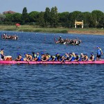 Foto Nicoloro G.   03/09/2024   Ravenna   14esima edizione del Campionato mondiale di Dragon Boat. E\' una competizione di origini cinersi che vede la partecipazione di 172 squadre provenienti da 32 nazioni con oltre settemila atleti per quasi 500 gare. il programma prevede gare di 200 mt., 500 mt. e 2 km. su imbarcazioni di lunghezza variabile da 8 a oltre 18 metri. nella foto imbarcazioni che hanno appena terminato di dareggiare.