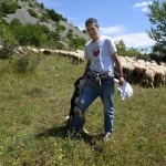 Foto Nicoloro G.   07/07/2023   Anversa degli Abruzzi (AQ)   Come ogni anno da secoli si ripete la pratica della transumanza ossia la migrazione di greggi e mandrie dai pascoli di pianura verso quelli di montagna. La transumanza e' considerata '' patrimonio immateriale dell' Unesco ''. nella foto il pastore macedone Fereidin. La collaborazione tra pastori e cani fa in modo che tutto vada nel migliore dei modi.