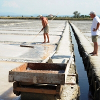 Foto Nicoloro G. 28/06/2012 Cervia ( Ravenna ) La salina Camillone, nel territorio di Cervia, e’ l’ ultima delle circa 150 saline a conduzione familiare che operavano prima del 1959, anno in cui le saline sono passate al Monopolio di Stato. Tutte le saline furono consorziate in una sola salina a produzione industriale e la salina Camillone e’ l’ unica rimasta artigianale in Italia. Qui tutto avviene ancora manualmente, nessun macchinario e’ utilizzato e il prelievo di sale e’ fatto ogni giorno nel periodo in cui resta aperta e cioe’ da Aprile a Settembre circa. E’ attiva grazie al volontariato del gruppo culturale ” Civilta’ salinara ” che gestisce anche il Museo del Sale di Cervia. Da giugno a settembre tutti i giovedi’ e le domeniche effettuano visite guidate per un pubblico che puo’ cosi’ assistere alle varie fasi del lavoro di estrazione del sale. nella foto Un momento dell'estrazione